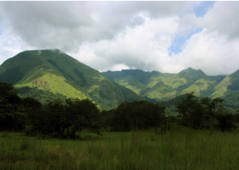 Monts Nimba